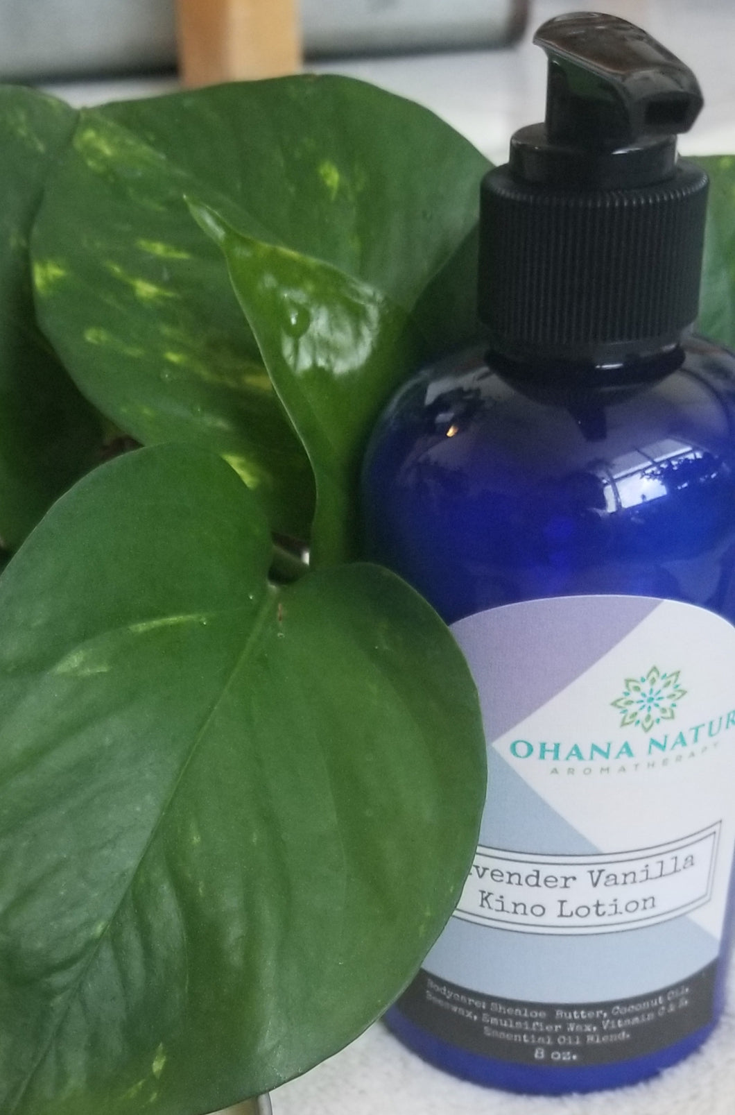 Lavender Vanilla Kino Collection