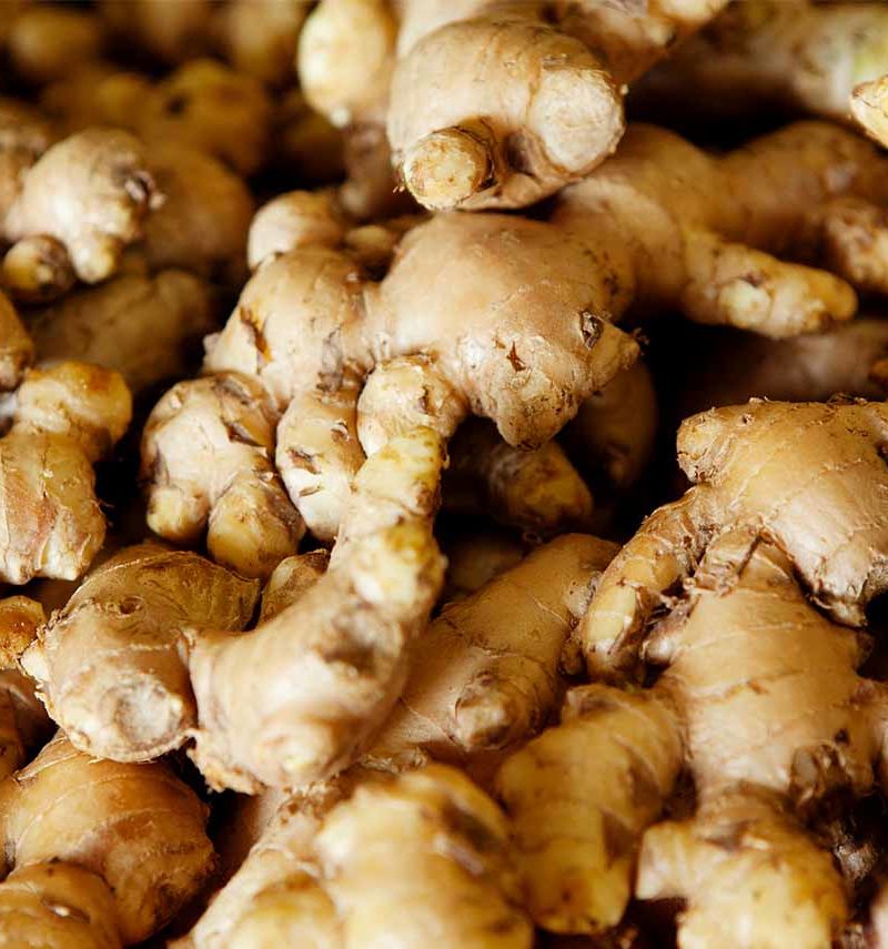Ginger Tincture