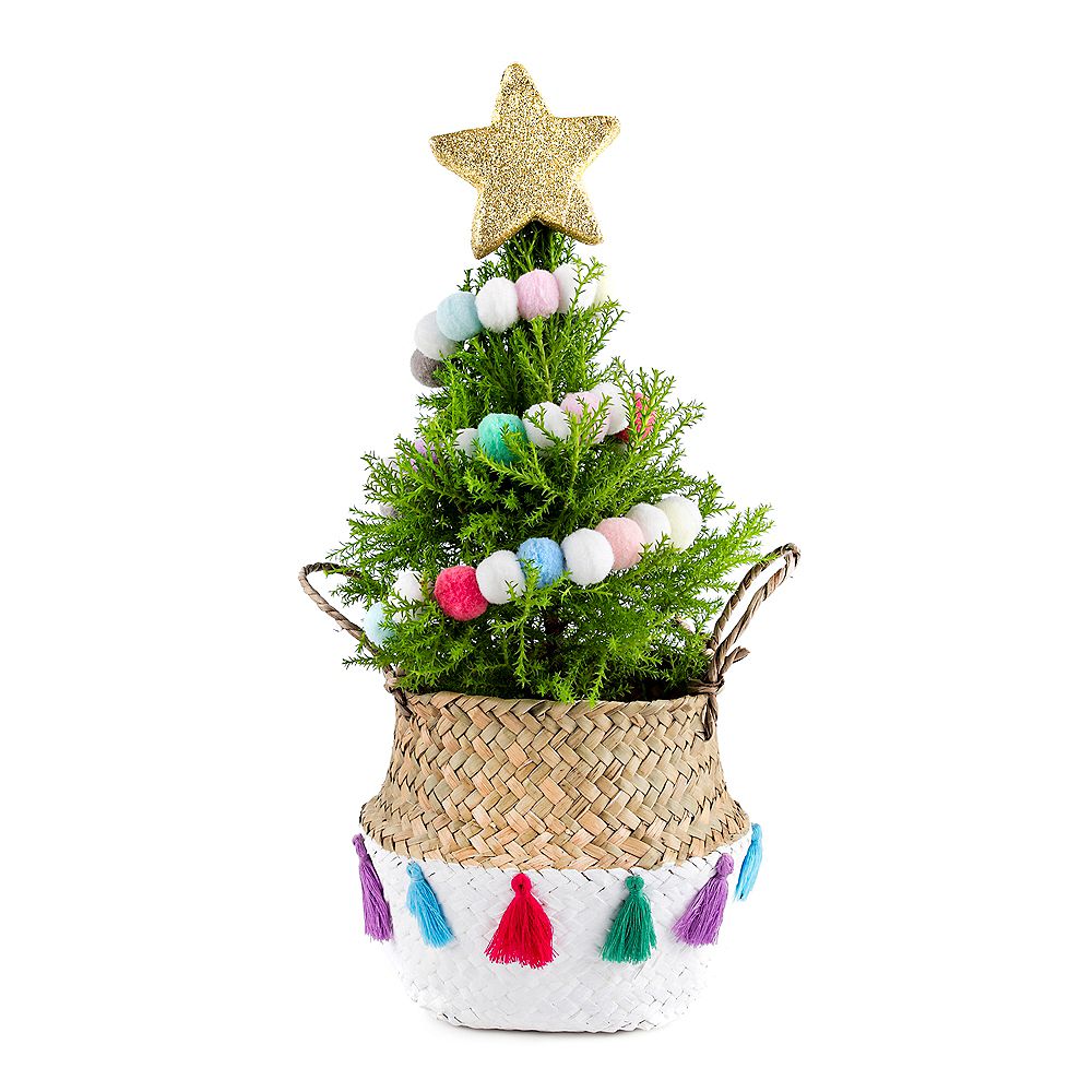 Christmas Blend